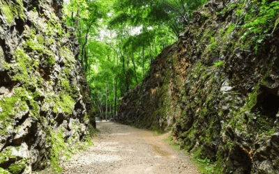 Hellfire Pass: A Walk Through Memory